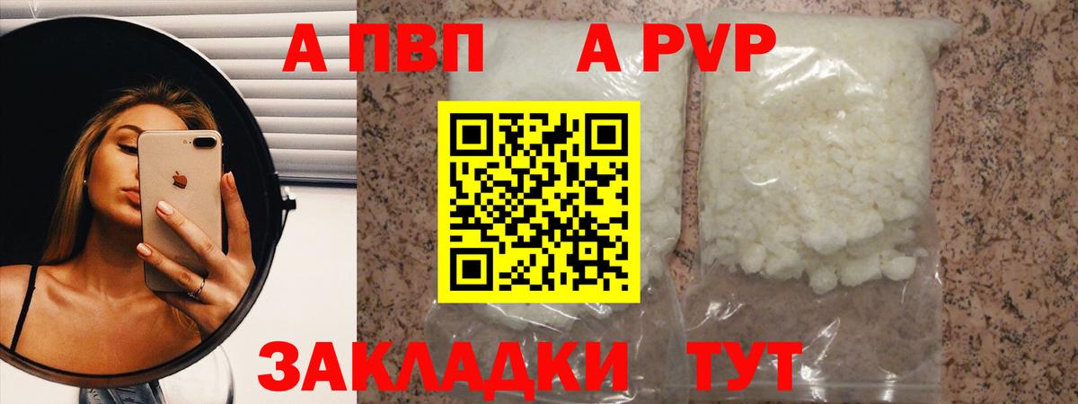 Альфа ПВП СК Кингисепп