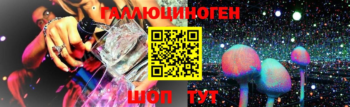 Кингисепп  Псилоцибиновые грибы ЛСД  Вход с VPN 
